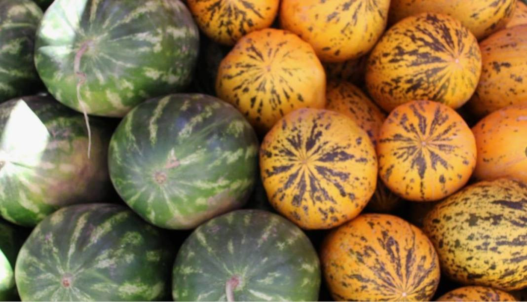 Usta manavlar biliyor sadece bu sırları! Karpuz seçerken yapın asla kelek çıkmıyor - Resim: 36